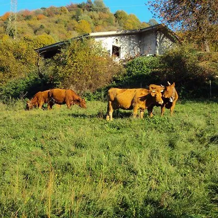 La Part Alloggio per agriturismo San Zeno di Montagna