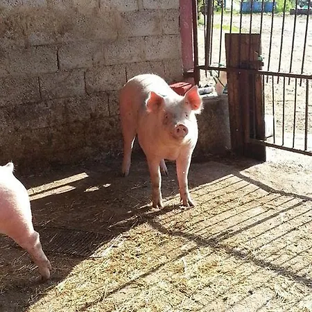 La Part Alloggio per agriturismo